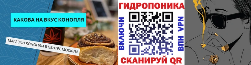 ссылка на мегу как войти  Новодвинск  Еда ТГК конопля 
